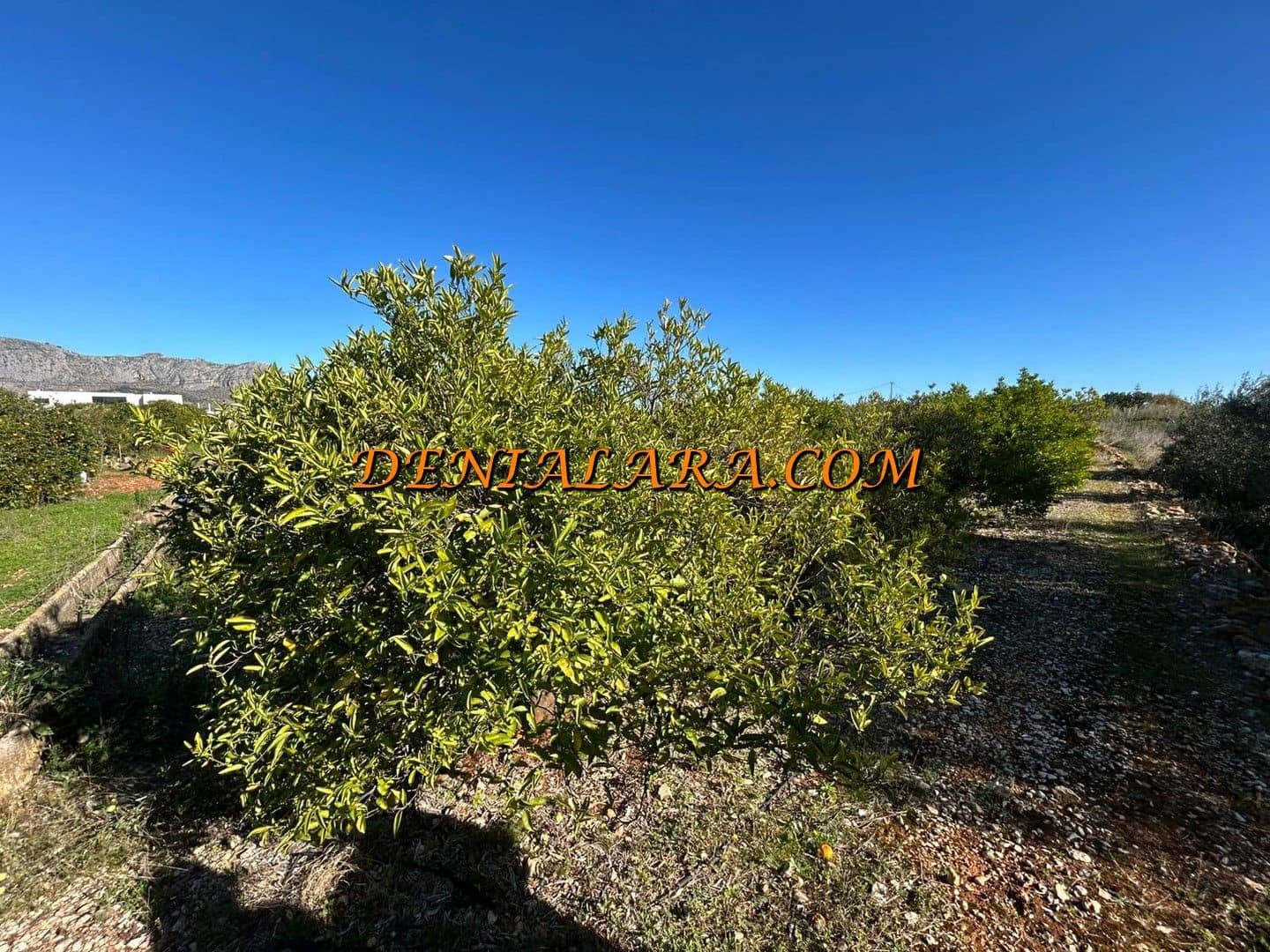 Działka budowlana na sprzedaż w Ondara - 39 999 € (Ref: 9614487)