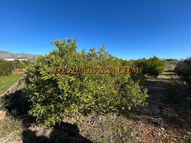 Bouwgrond te koop in Ondara - € 39.999 (Ref: 9614487)