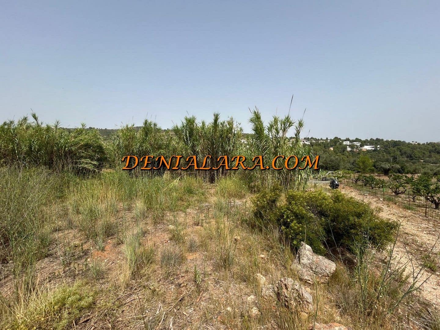Bauplatz zu verkaufen in Pedreguer - 99.999 € (Ref: 9981593)