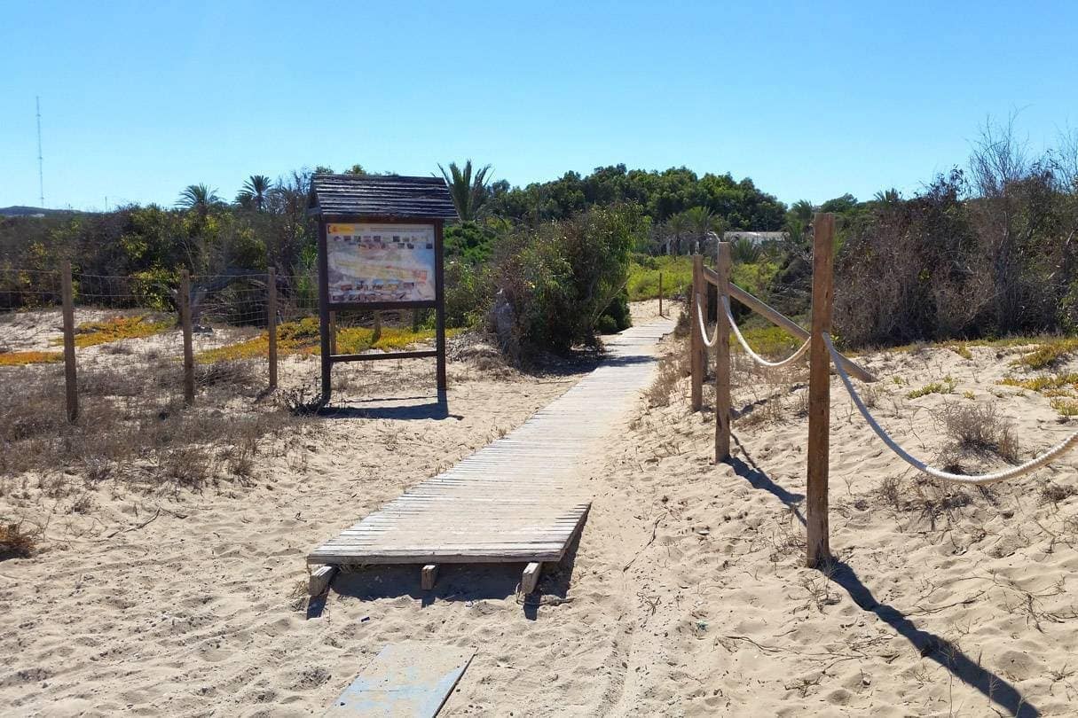 2 sypialnia Apartament na sprzedaż w Guardamar del Segura z basenem - 232 050 € (Ref: 8143205)