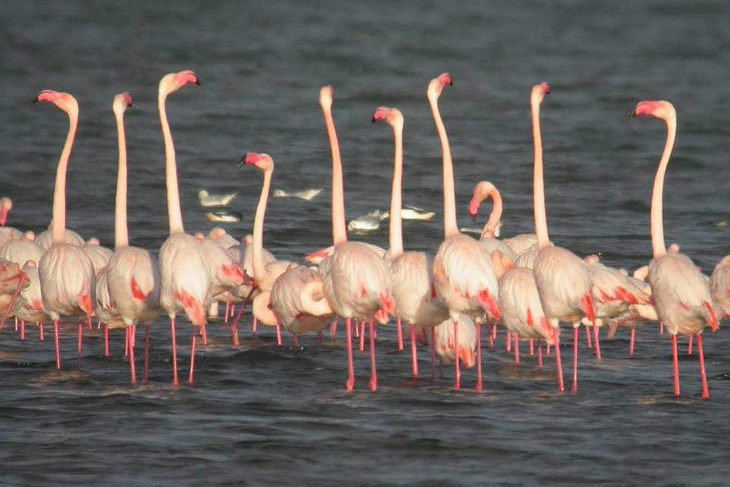 3 bedroom Villa for sale in San Miguel de Salinas with garage - € 429,900 (Ref: 8229707)