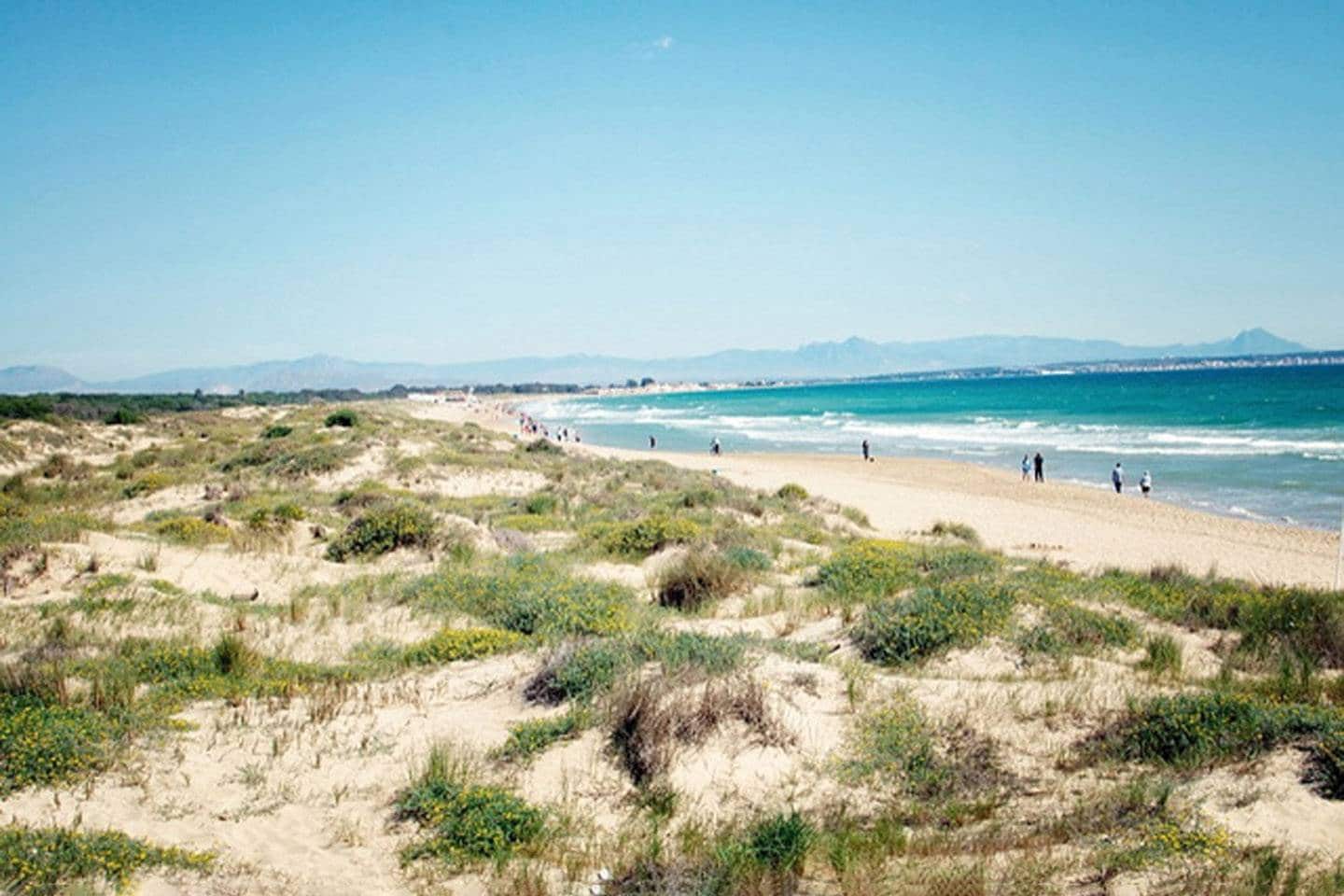 2 soverom Leilighet til salgs i La Marina med svømmebasseng garasje - € 265 000 (Ref: 9509782)