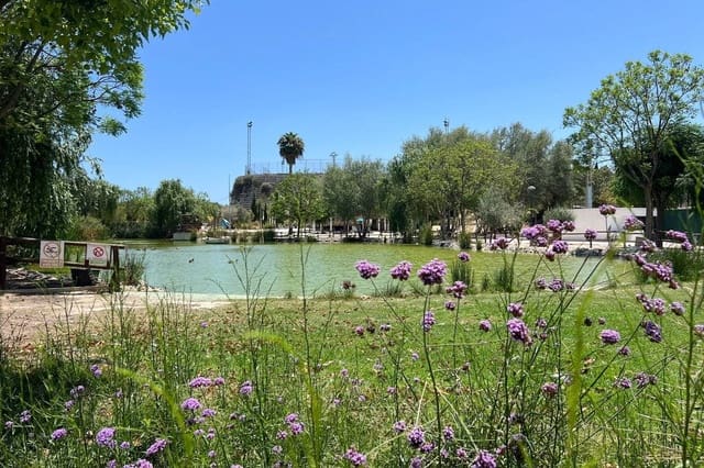 3 soveværelse Byhus til salg i Almoradí med swimmingpool garage - € 299.000 (Ref: 9509784)