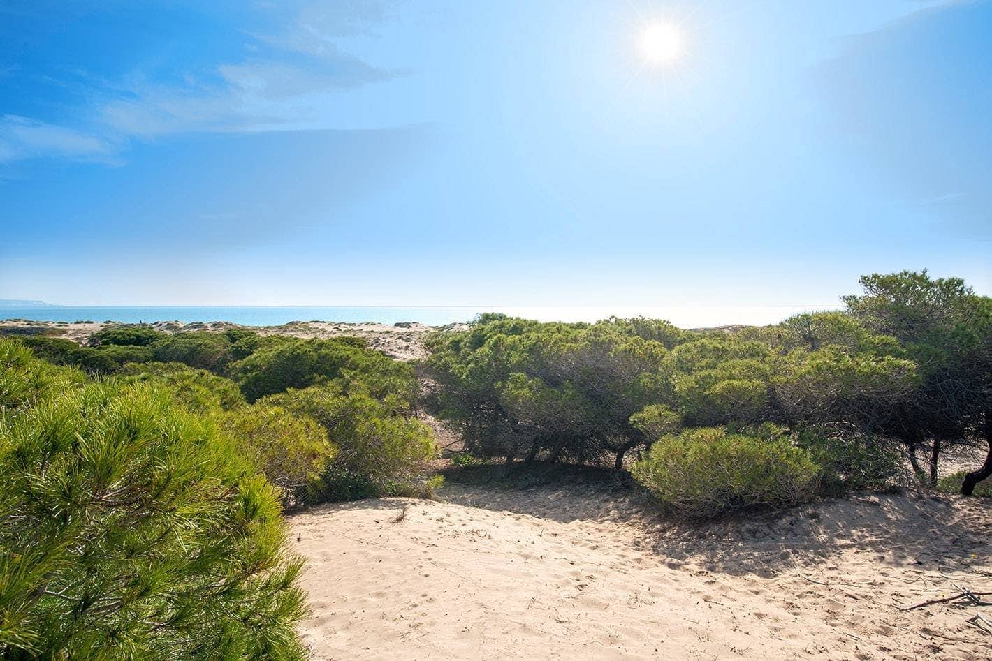 3 bedroom Villa for sale in La Marina with pool garage - € 392,000 (Ref: 9509843)