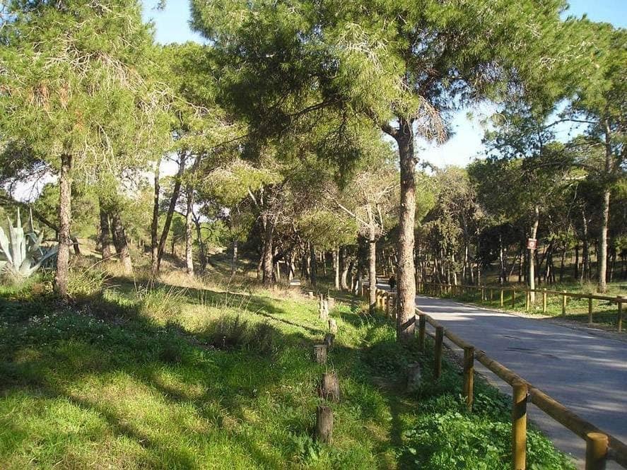 2 sovrum Hus till salu i La Mata med pool - 174 900 € (Ref: 9509901)