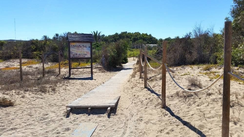 2 sovrum Hus till salu i La Mata med pool - 174 900 € (Ref: 9509901)