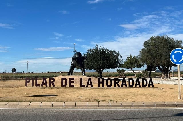 2 bedroom Apartment for sale in Pilar de la Horadada ciudad, Pilar de la Horadada with pool garage - € 255,000 (Ref: 9509906)