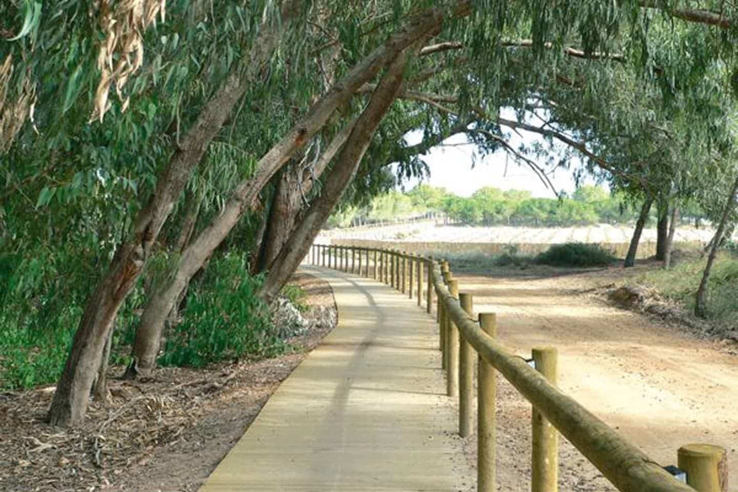 2 slaapkamer Appartement te koop in La Mata met zwembad garage - € 550.000 (Ref: 9509913)