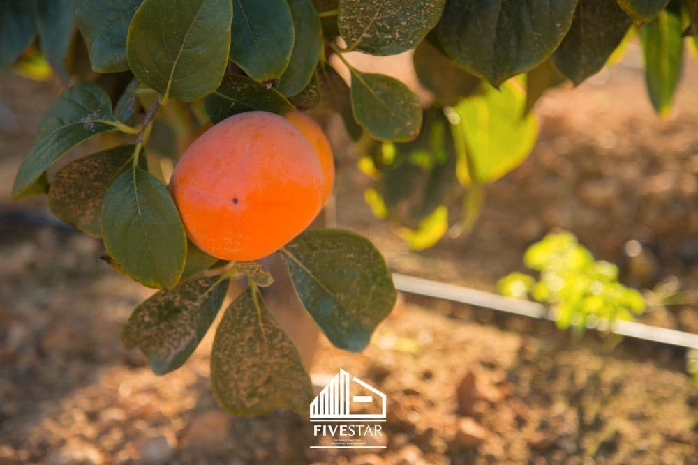 3 soveværelse Finca/Landehus til salg i Turis - € 375.000 (Ref: 4930365)