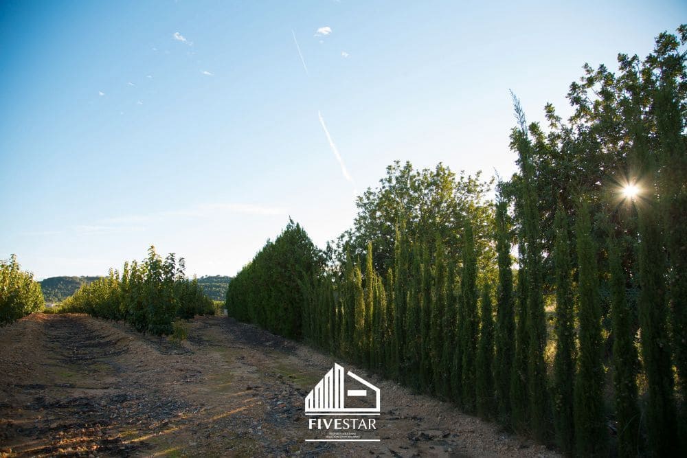 3 soveværelse Finca/Landehus til salg i Turis - € 375.000 (Ref: 4930365)