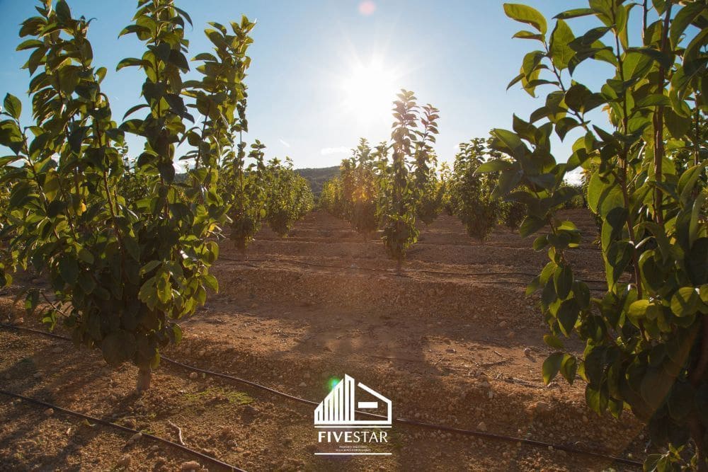 3 soveværelse Finca/Landehus til salg i Turis - € 375.000 (Ref: 4930365)