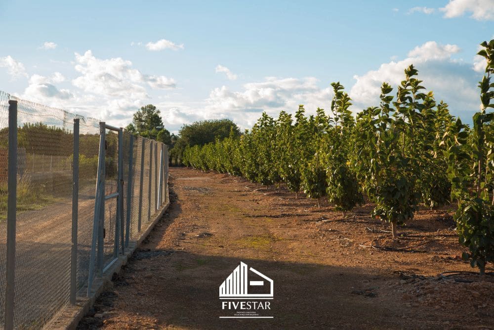 3 soveværelse Finca/Landehus til salg i Turis - € 375.000 (Ref: 4930365)