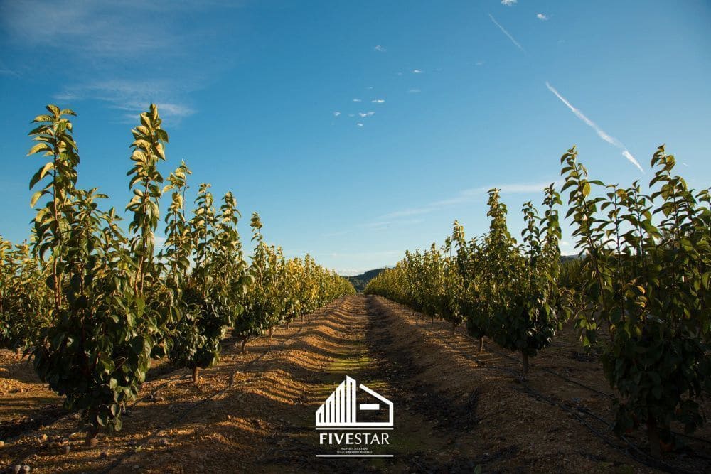 3 soveværelse Finca/Landehus til salg i Turis - € 375.000 (Ref: 4930365)