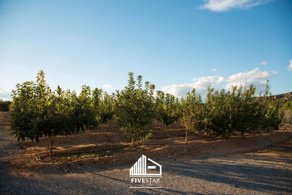 3 soveværelse Finca/Landehus til salg i Turis - € 375.000 (Ref: 4930365)