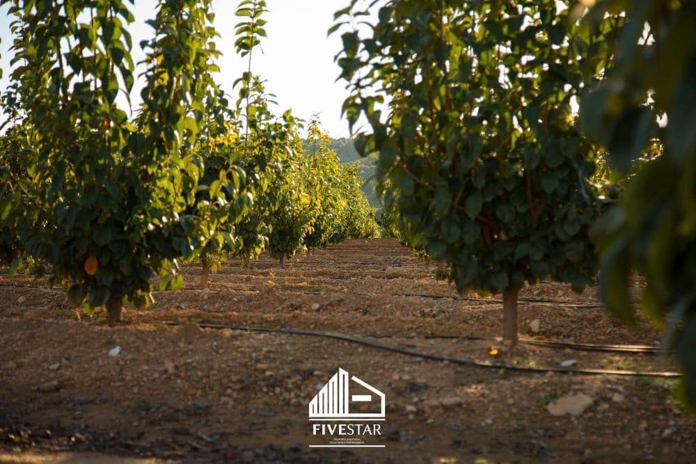 3 soveværelse Finca/Landehus til salg i Turis - € 375.000 (Ref: 4930365)