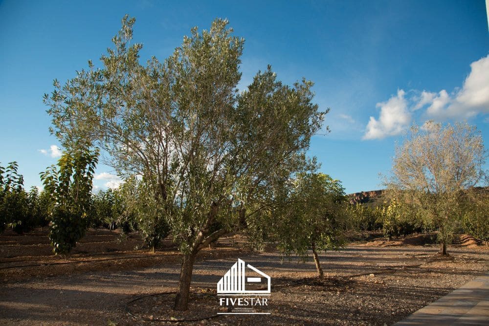 3 soveværelse Finca/Landehus til salg i Turis - € 375.000 (Ref: 4930365)