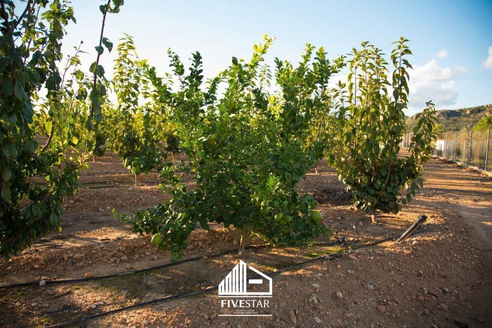 3 soveværelse Finca/Landehus til salg i Turis - € 375.000 (Ref: 4930365)