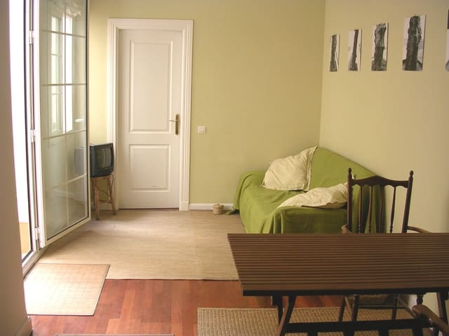 1 Zimmer Apartment zu verkaufen in Málaga Stadt - 318.500 € (Ref: 10159604)