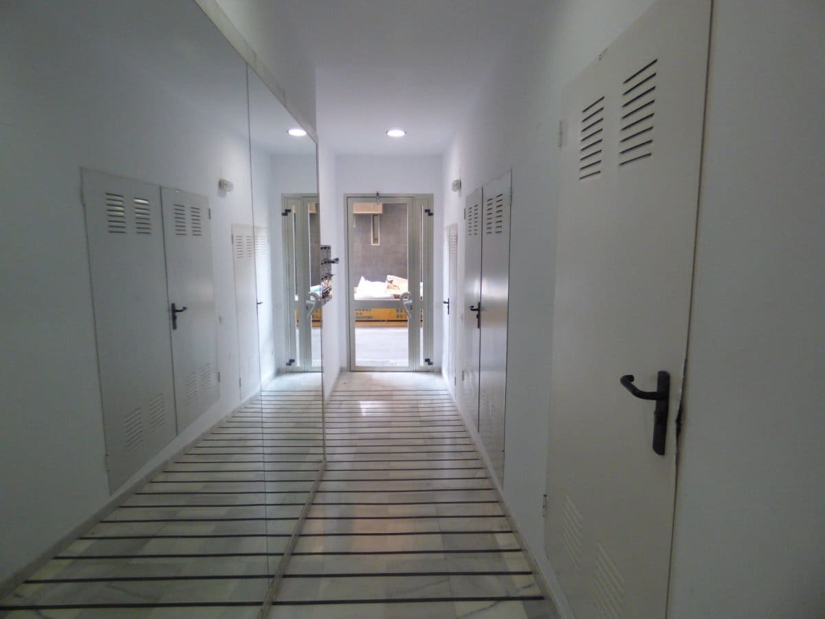 1 bedroom Flat for rent in Malaga city - € 800 (Ref: 7999238)