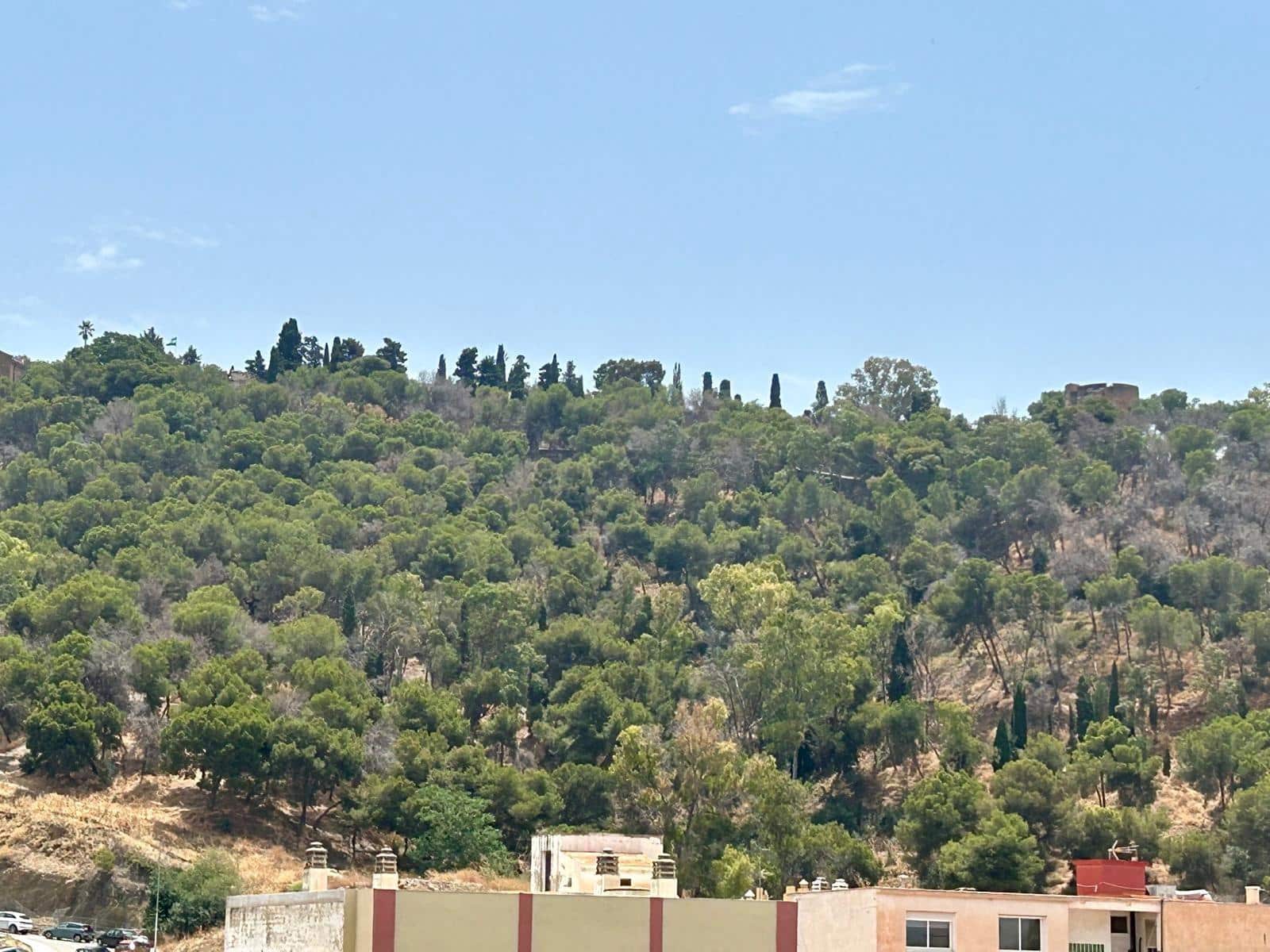 2 soveværelse Lejlighed til salg i Malaga by - € 399.000 (Ref: 9075248)