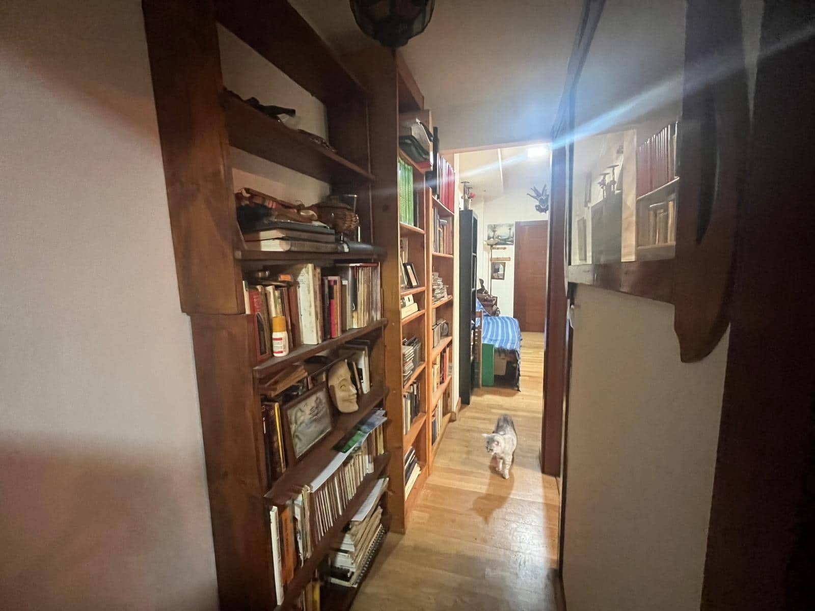 1 bedroom Flat for rent in Malaga city with pool - € 1,000 (Ref: 9147337)