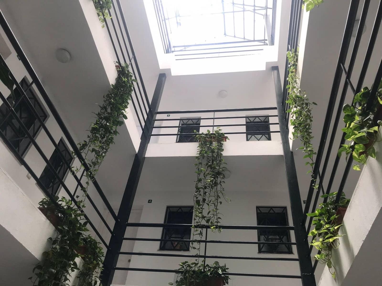 1 soverom Leilighet til leie i Malaga by - € 880 (Ref: 9347616)