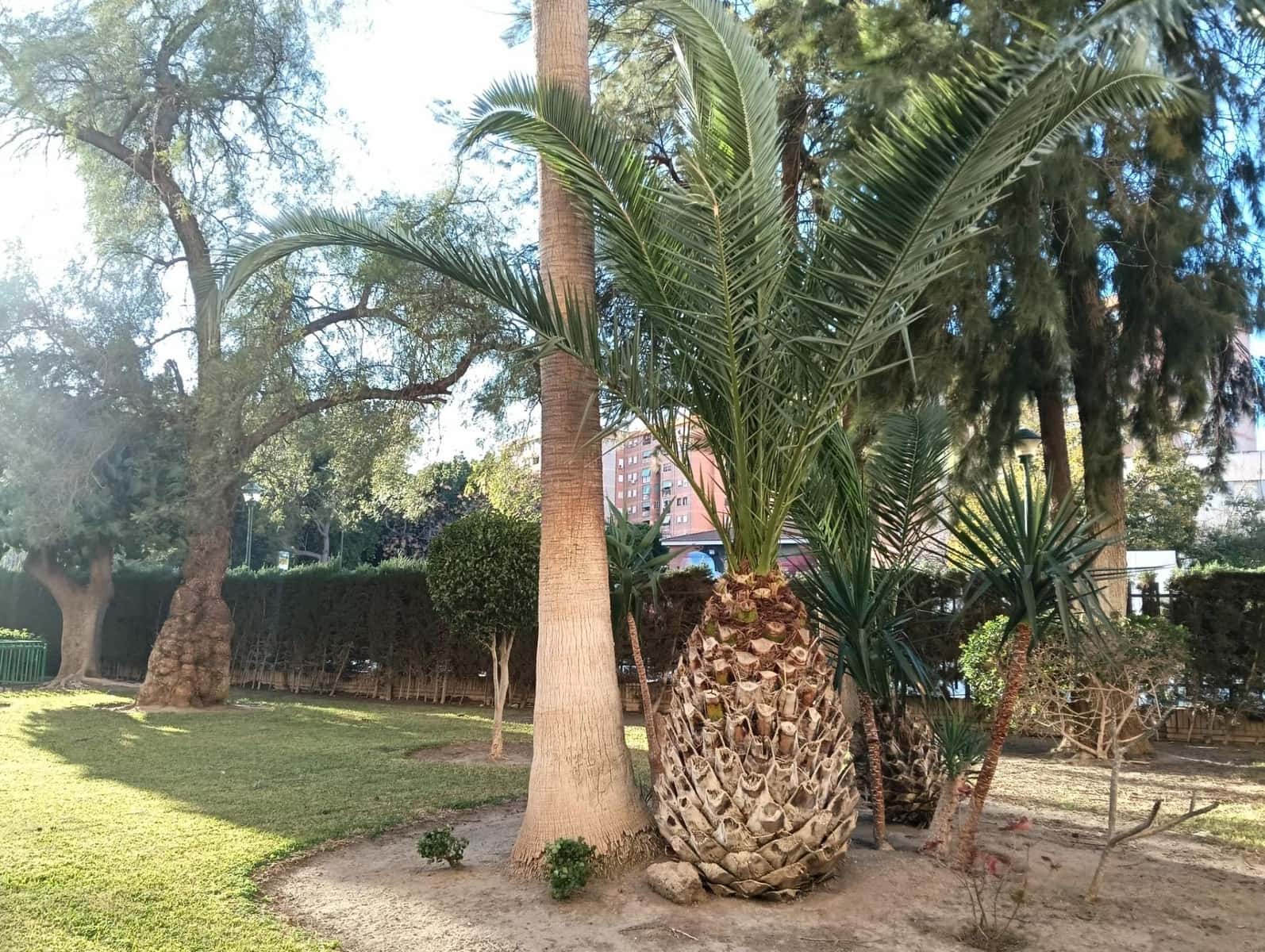 4 makuuhuone Asunto myytävänä paikassa Malaga kaupunki mukana 
autotalli - 450 000 € (Ref: 9524482)