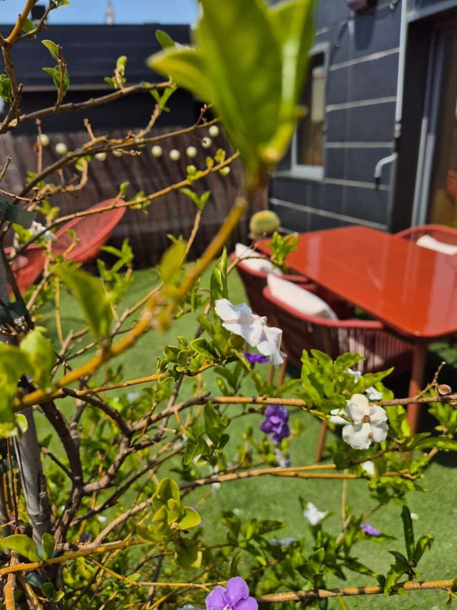 2 makuuhuone Asunto vuokrattavana paikassa Malaga kaupunki - 1 450 € (Ref: 9808136)