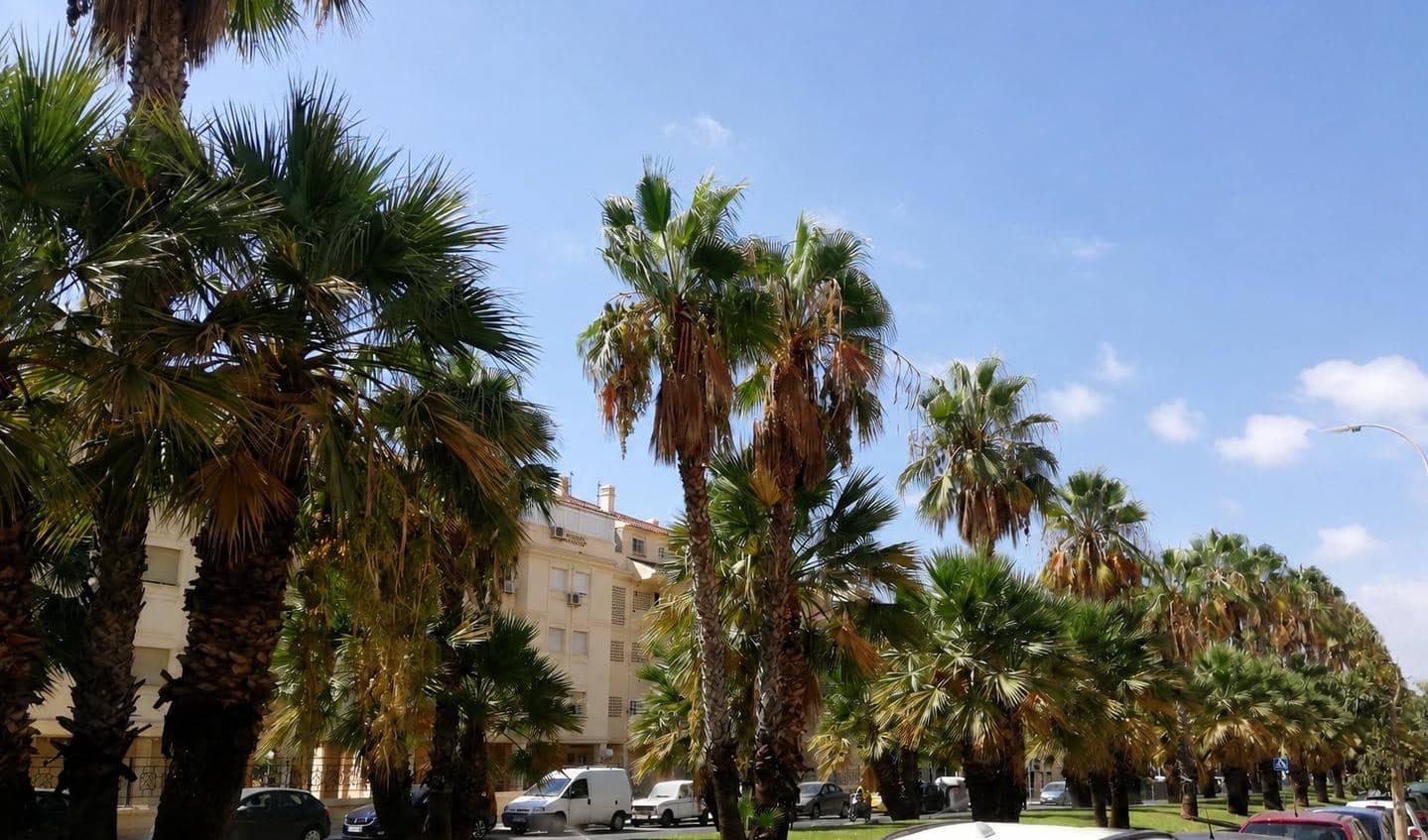 Kommersiell til leie i Malaga by - € 1 800 (Ref: 9833852)