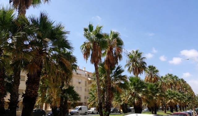 Kommersiell til leie i Málaga by - € 1 800 (Ref: 9833852)