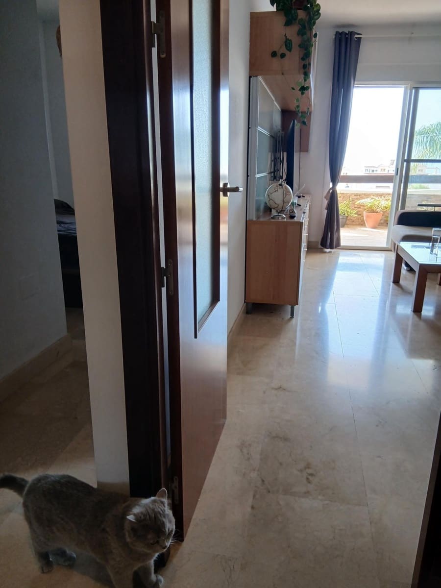 2 soverom Leilighet til leie i Benalmadena med svømmebasseng garasje - € 1 200 (Ref: 9985093)