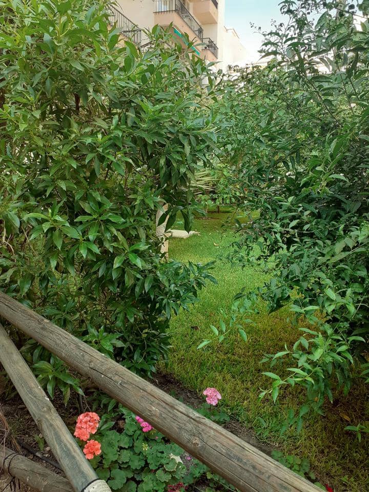 2 slaapkamer Flat te huur in Nerja met zwembad - € 1.500 (Ref: 6132064)