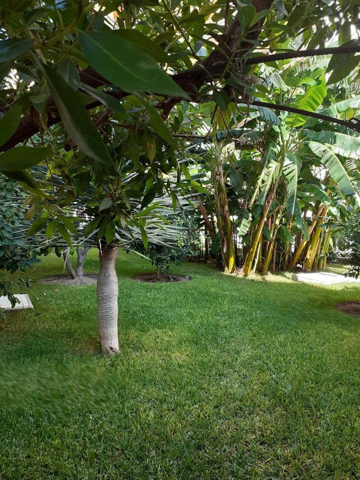 2 slaapkamer Flat te huur in Nerja met zwembad - € 1.500 (Ref: 6132064)