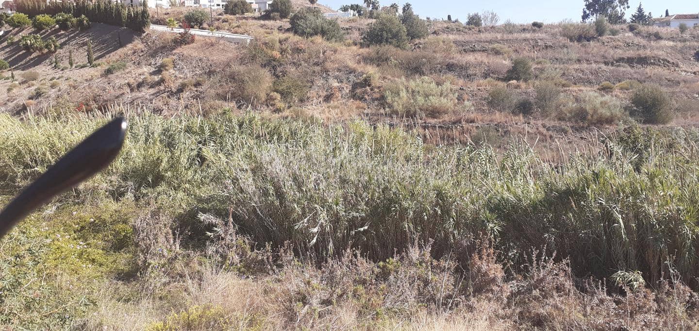Ubebygd land til salgs i Torrox-Costa - € 85 000 (Ref: 6389624)