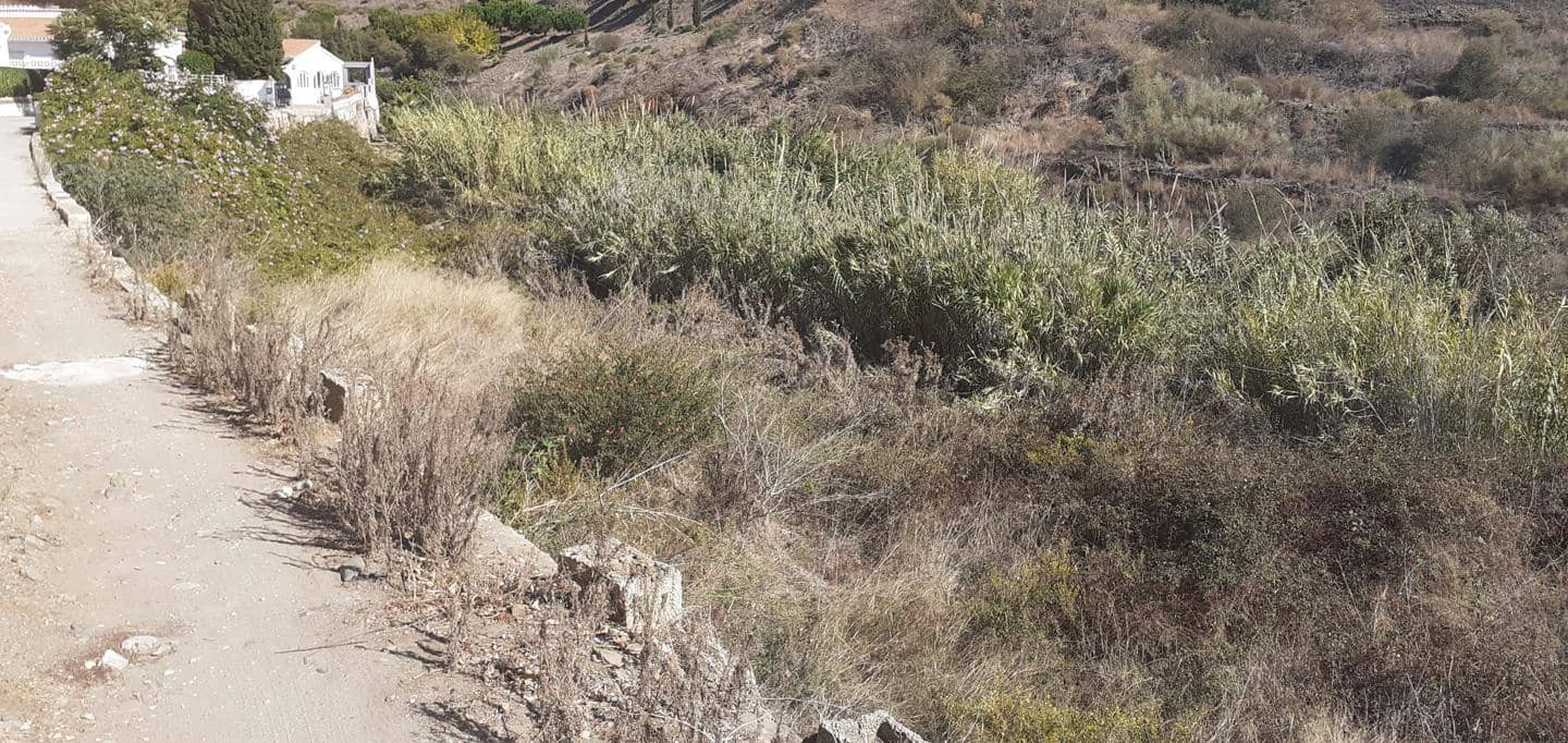 Ubebygd land til salgs i Torrox-Costa - € 85 000 (Ref: 6389624)