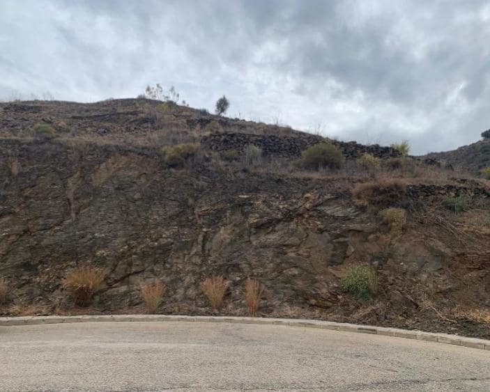 Undeveloped Land for sale in Torrox-Costa - € 79,000 (Ref: 7586480)