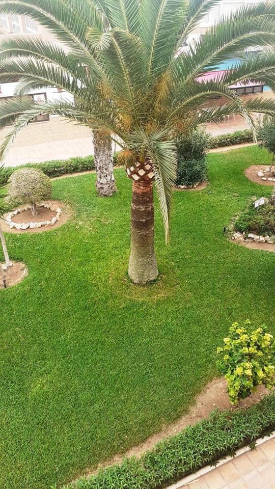 2 soverom Leilighet til leie i Torrox-Costa med garasje - € 800 (Ref: 7778019)