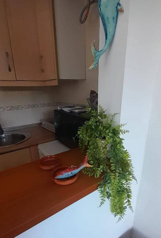 Appartement de 1 chambre à louer à Nerja - 750 € (Ref: 7848654)