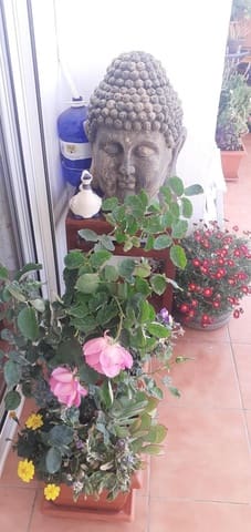 2 soverom Leilighet til leie i Chaparil - Torrecilla - Punta Lara, Nerja med svømmebasseng garasje - € 2 400 (Ref: 9780045)