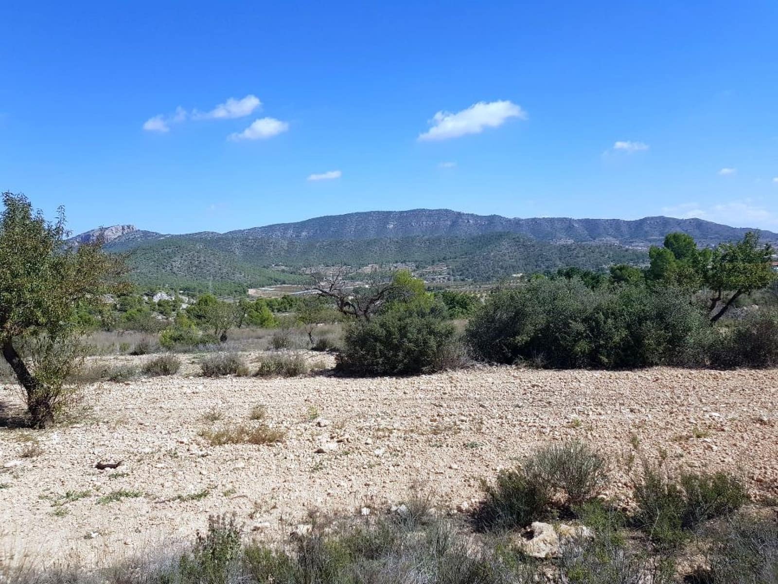 Terreno/Finca Rústica en Monóvar / Monóver en venta - 39.999 € (Ref: 10004899)
