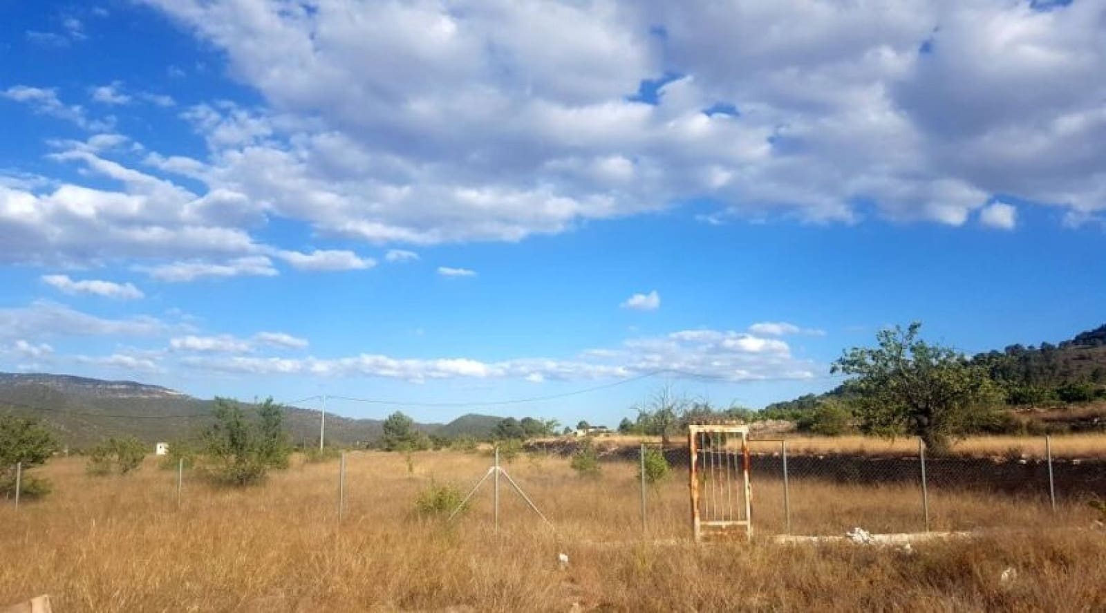 Mark till salu i Monovar / Monover - 69 999 € (Ref: 10006120)