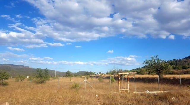 Mark till salu i Monóvar / Monóver - 69 999 € (Ref: 10006120)