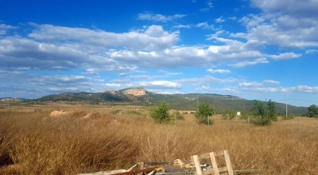 Mark till salu i Monóvar / Monóver - 69 999 € (Ref: 10006120)