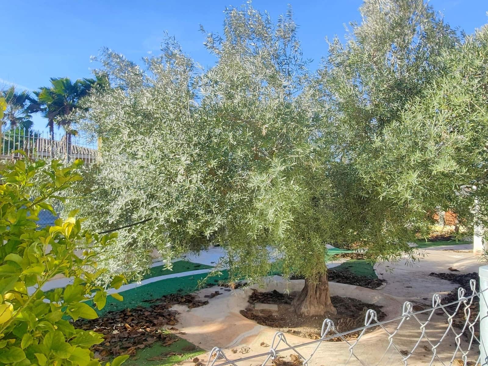 6 soverom Villa til salgs i Aspe - € 360 000 (Ref: 10054488)