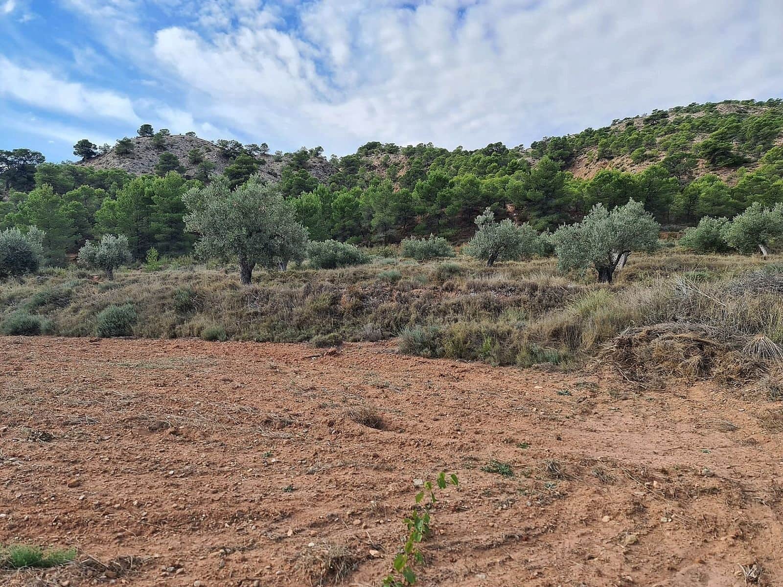 Landgrundstück zu verkaufen in Pinoso - 35.000 € (Ref: 6431122)