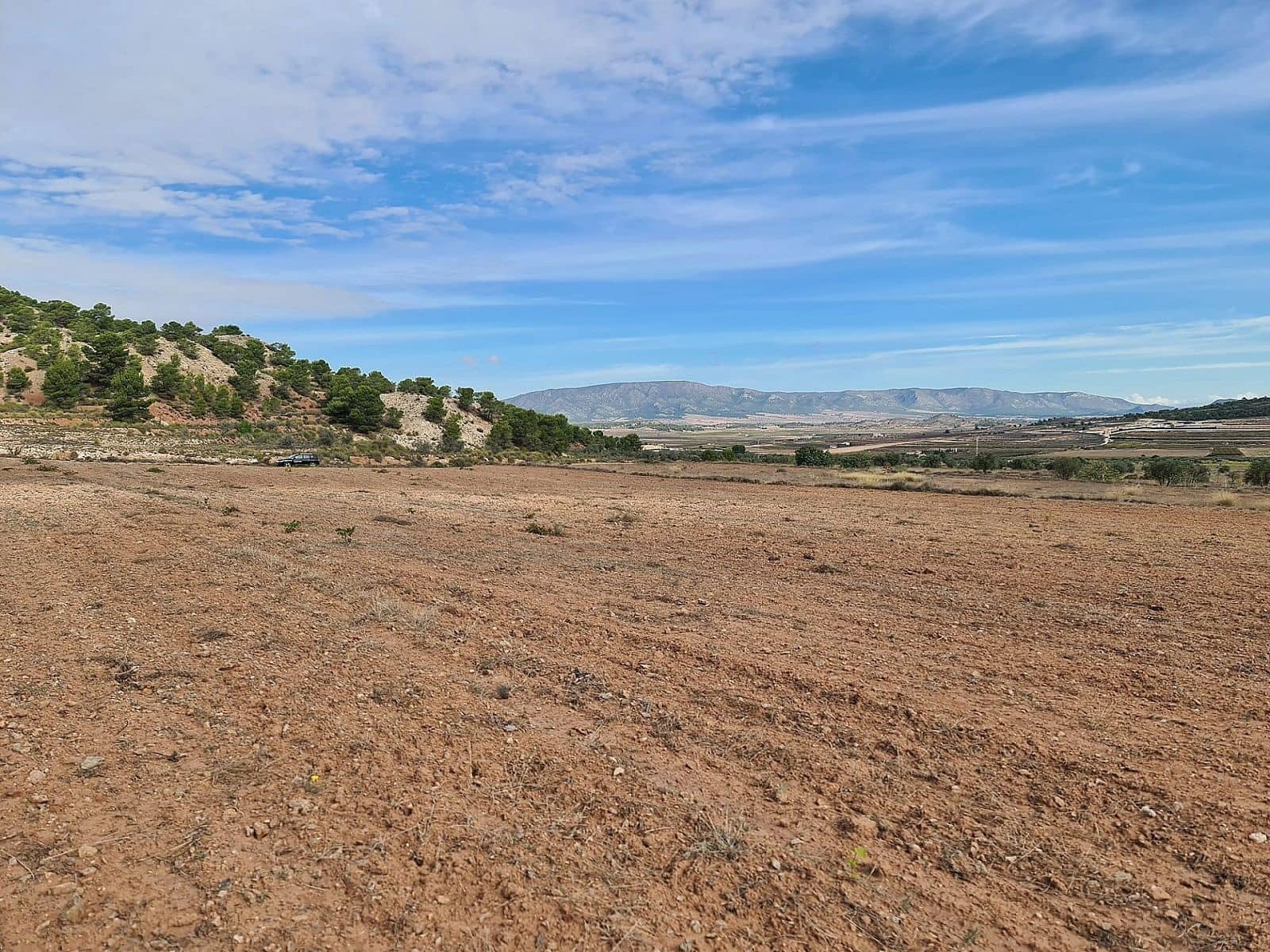 Landgrundstück zu verkaufen in Pinoso - 35.000 € (Ref: 6431122)