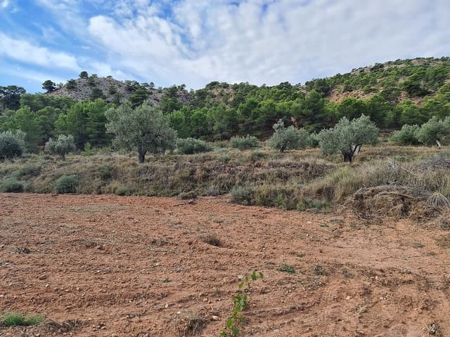 Landgrundstück zu verkaufen in Pinoso - 35.000 € (Ref: 6431122)