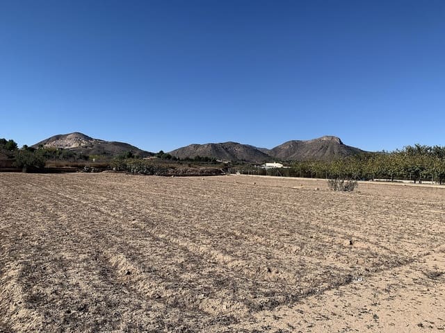 Finca/Casa Rural de 2 habitaciones en Aspe en venta con piscina - 119.950 € (Ref: 6593308)