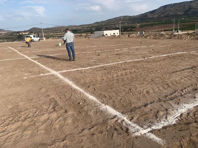 3 Zimmer Villa zu verkaufen in Pinoso mit Pool - 330.000 € (Ref: 6666512)