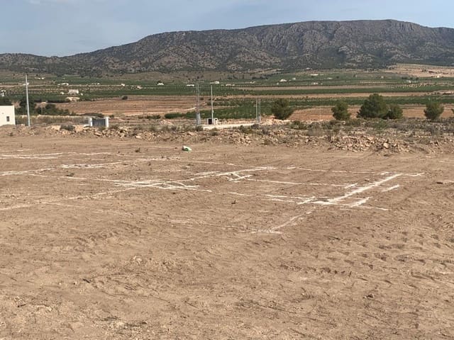 3 Zimmer Villa zu verkaufen in Pinoso mit Pool - 330.000 € (Ref: 6666512)